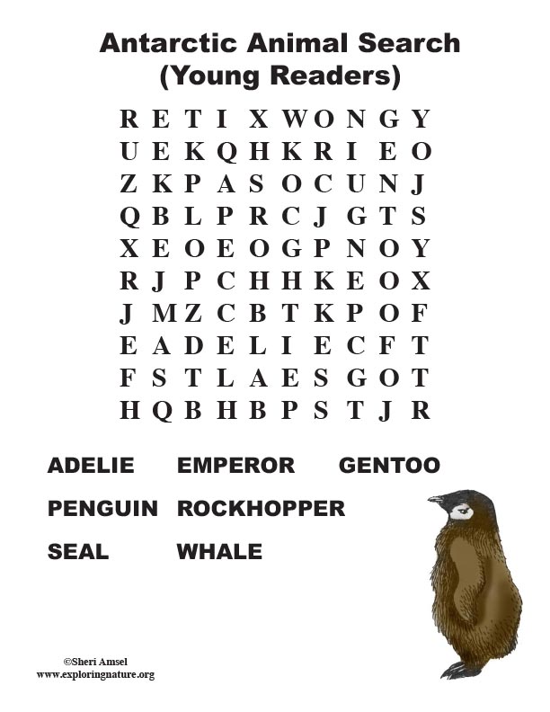 Antarctic Animals Word Search (Younger Readers)