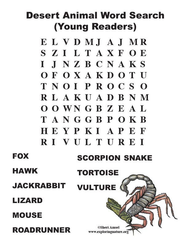Desert Animal Word Search (Primary)