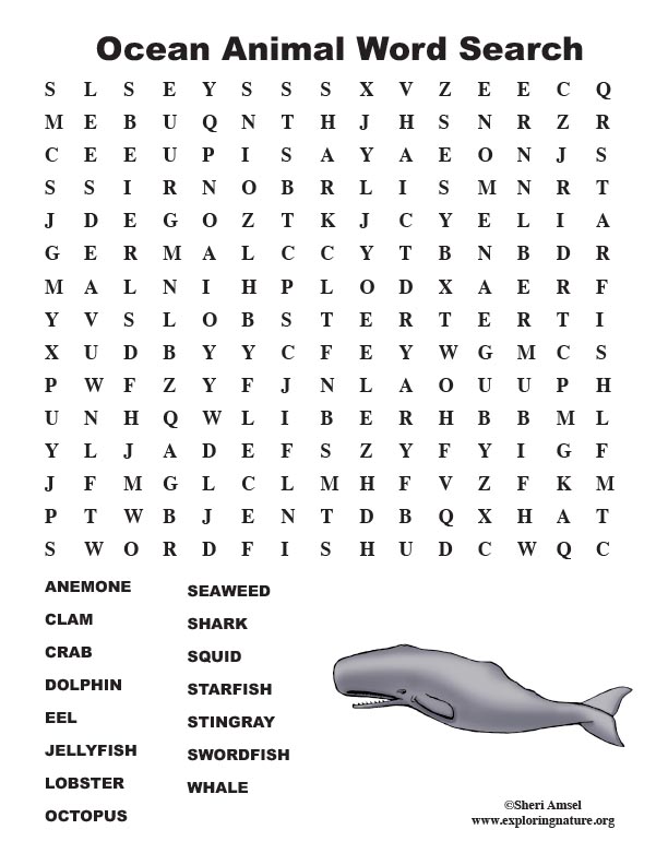 ocean animal word search middle