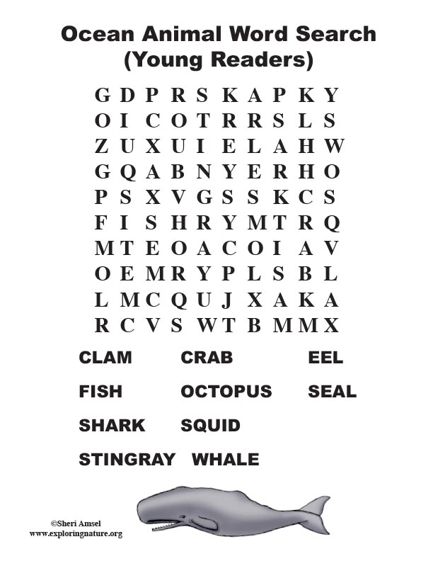 ocean animal word search primary