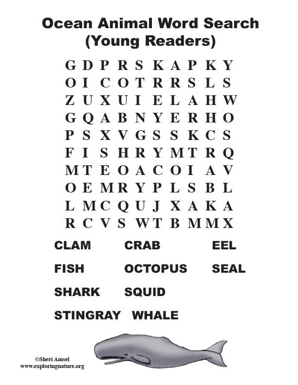Ocean Animal Word Search Primary 
