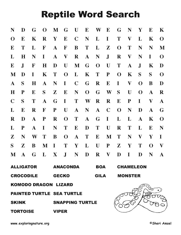 Reptile Word Search (Middle)