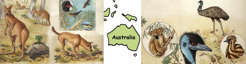 Animals of Australia