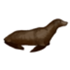 Sea Lion (California)