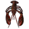 Lobster (American)