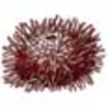 Phylum - Echinodermata (Starfish, Sand Dollars, Sea Urchins)