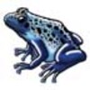 Amphibians (Frogs, Toads, and Salamanders)