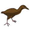 Weka (Bush Hen)