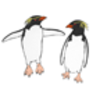 Penguin (Rockhopper)