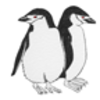 Penguin (Chinstrap)
