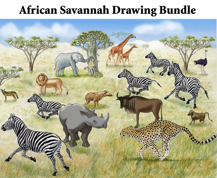 Draw an African Savannah Habitat - Downloadable Only