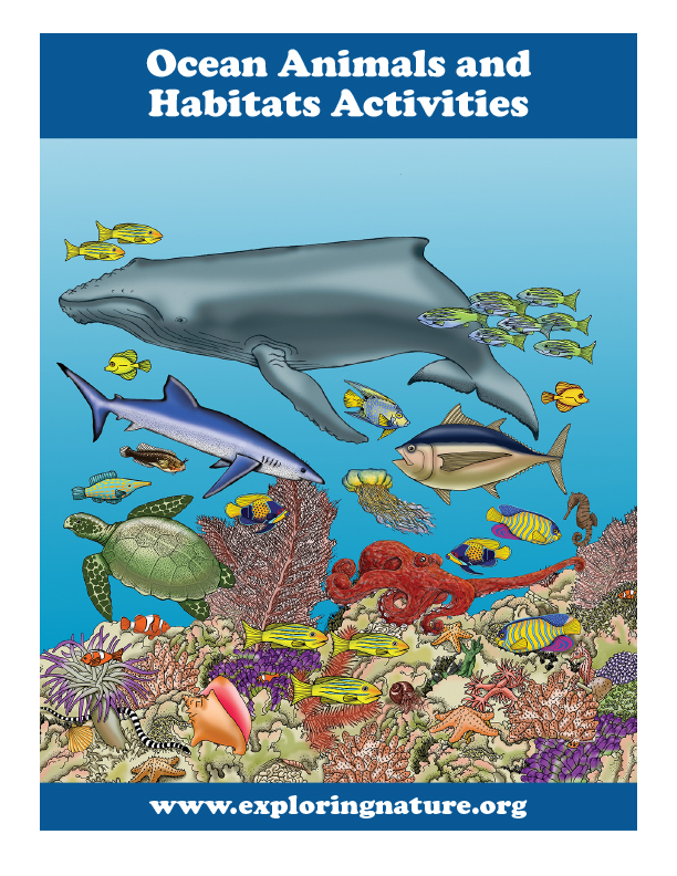 Ocean Animals and Habitats Activities - Downloadable Only