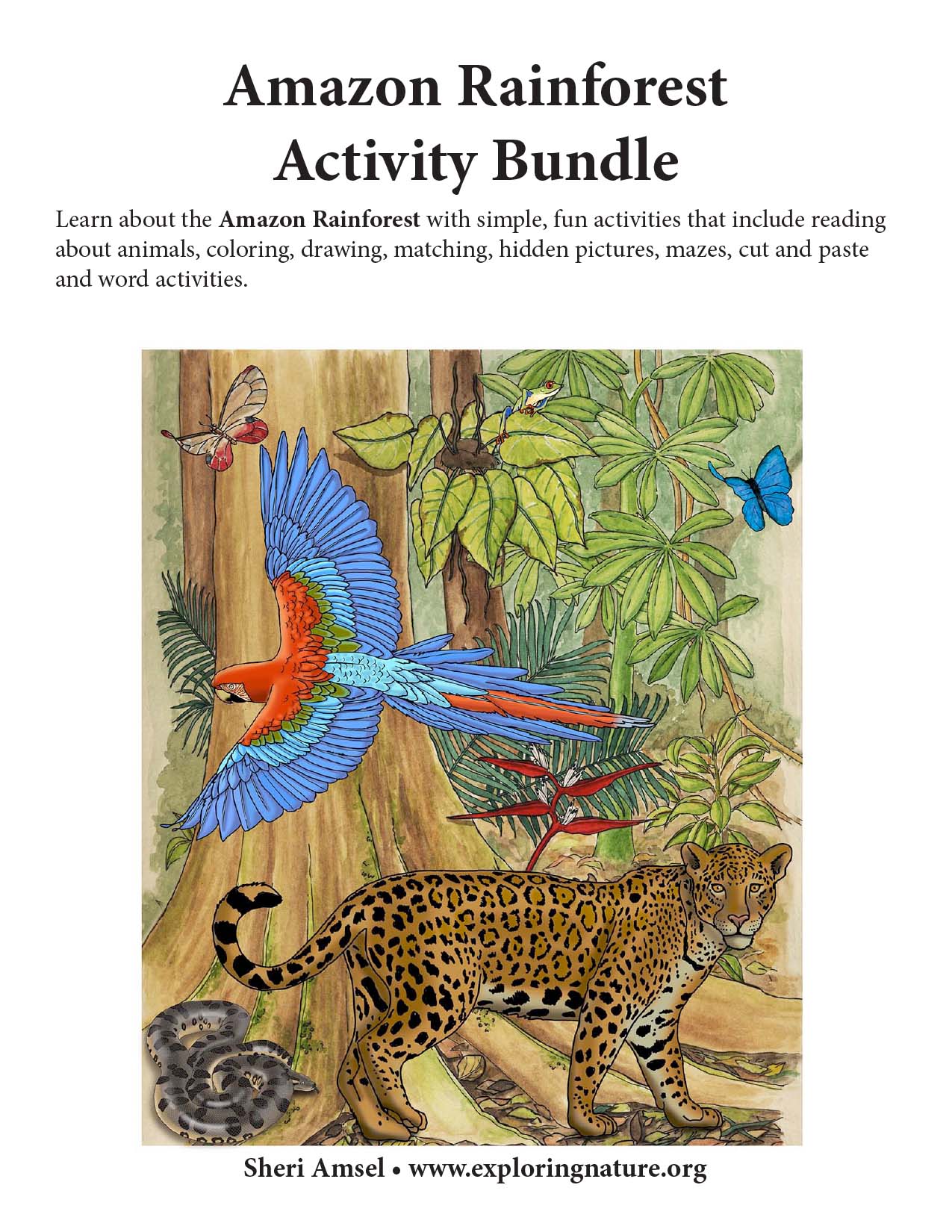 Amazon Rainforest Activity Bundle - Downloadable Only