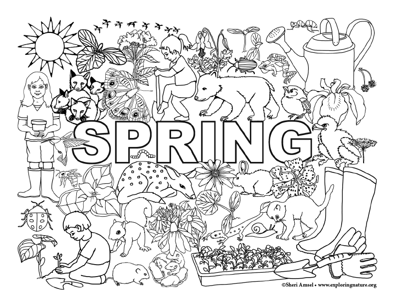 All Things Spring Coloring Page