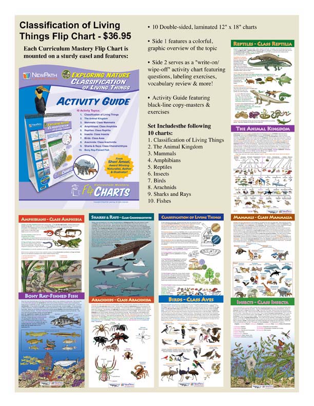 Classification Of Living Things Chart