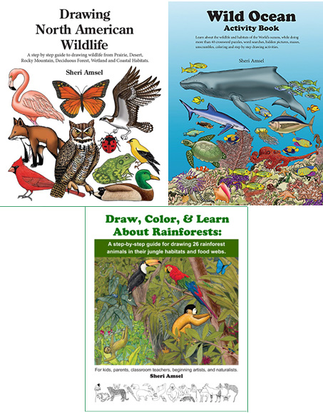 Classroom Book Bundle - Oceans, Rainforests, and North American