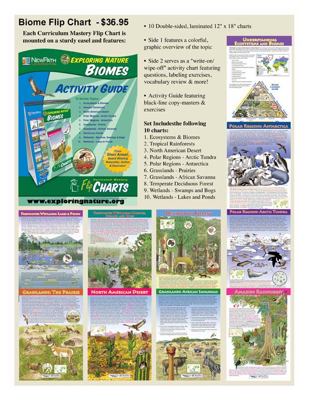 Exploring Biomes Chart